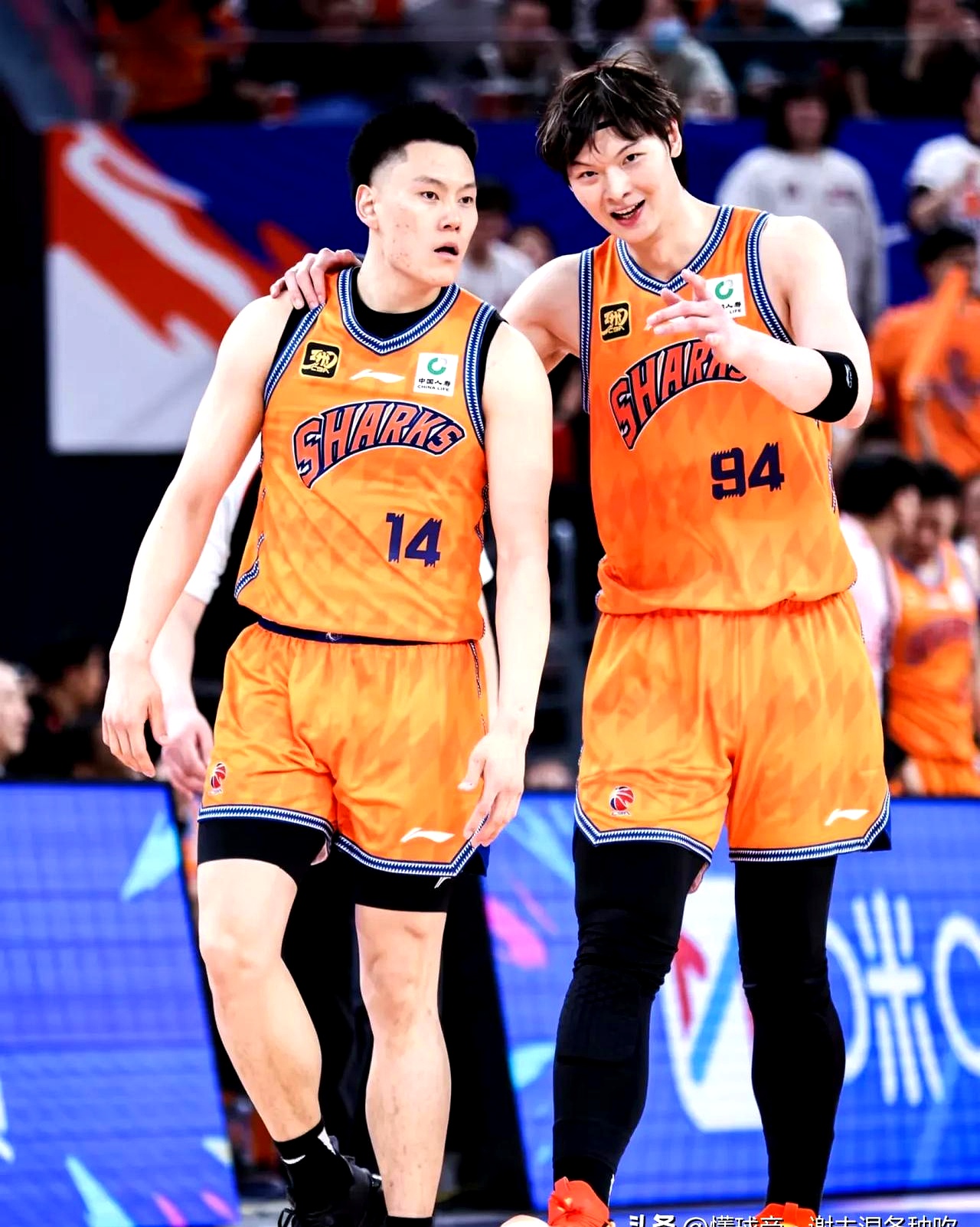 英超集结日再迎强敌,辽宁本钢远射贴柱,主帅态度:更衣室稳定,纪律约束更严格的简单介绍 英超集结日再迎强敌,辽宁本钢远射贴柱,主帅态度:更衣室稳定,纪律约束更严格的简单介绍