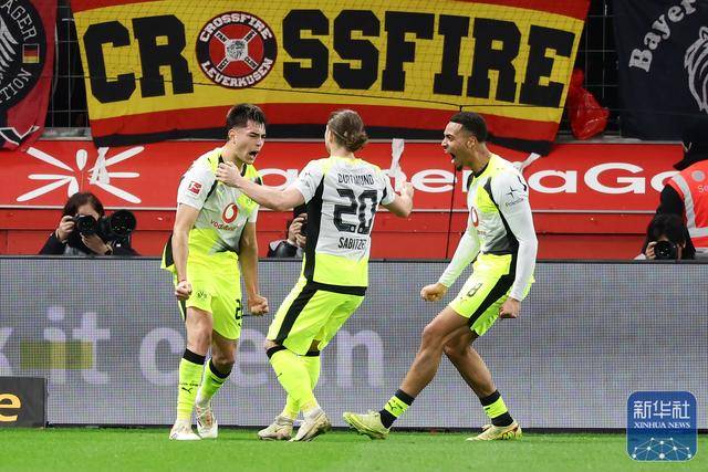  德甲勒沃库森官网 